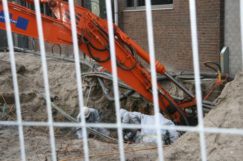 IMG 1198