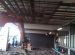 IMG00958-20101110-1046